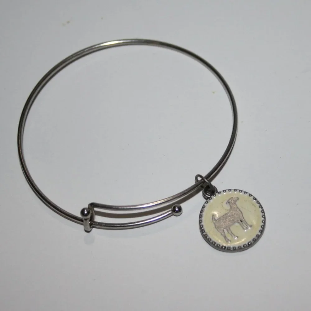 Silver Farm Girl Factory Charm bangle bracelet